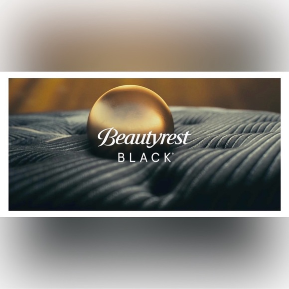 🎉LAST PIECE🎉2PC BEAUTYREST BLACK Luxurious Down And Feather Blend Pillow - Picture 2 of 10